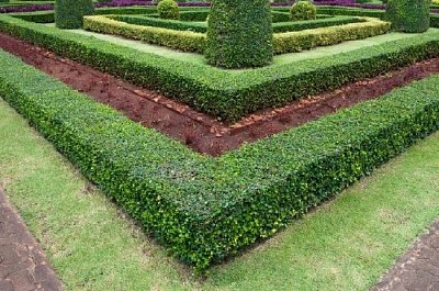 Formell trädgård