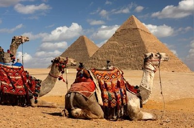 Pirámides y camellos, Egipto