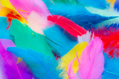 Närbild till ljusa färgglada fjädrar bakgrund