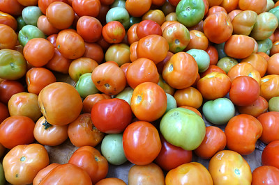 Närbild av färska tomater, selektivt fokus.