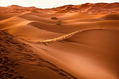 棕色沙漠