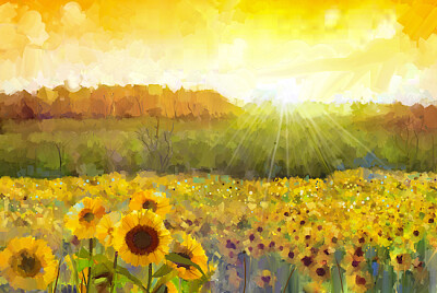 Sunflower Flower Blossom - Oljemålning