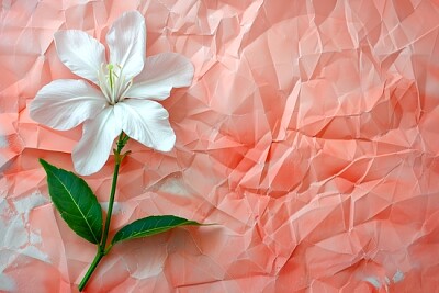 Jasmin blomma papper
