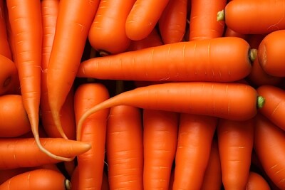 Carrots for Everyone 