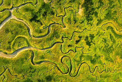 Meandrująca rzeka