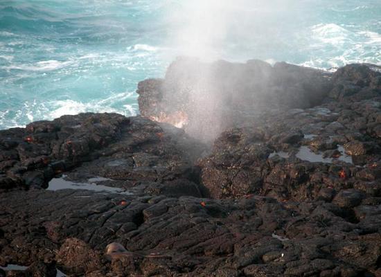 The Galapagos Islands