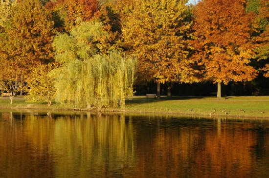 Eine Herbstszene