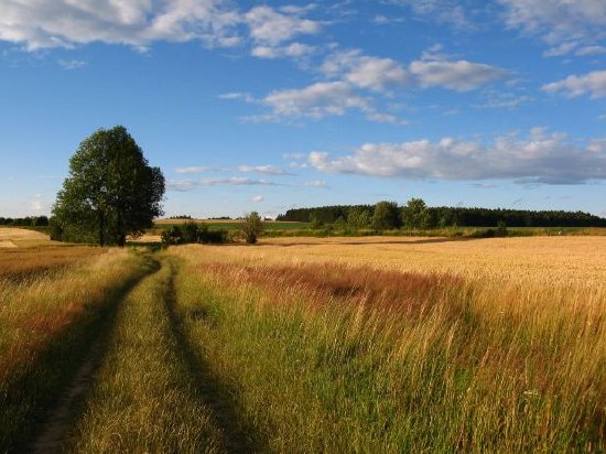 Tschechische Republik, Sommer