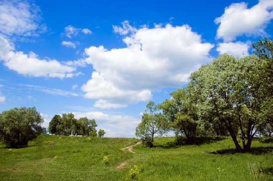 Rural Road at Summer