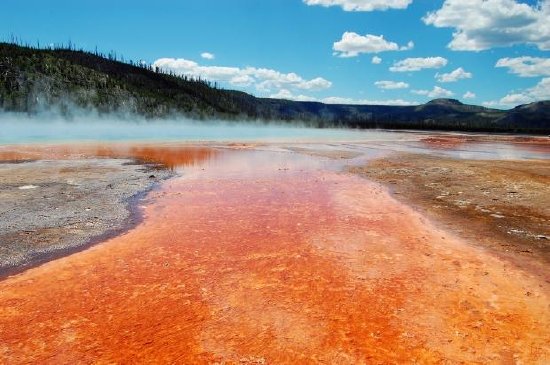 Grand Prismatic Spring w Parku Narodowym Yellowstone