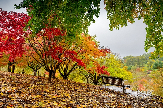 Banco em parque de outono durante a chuva