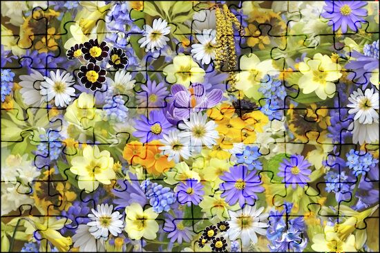 Flower Background Jigsaw Puzzle Online | Jspuzzles.Com