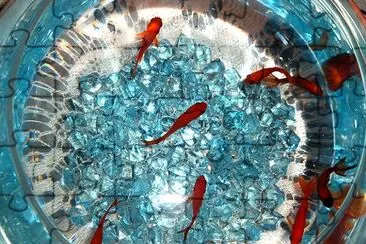 a Bowl with Goldfish (Inserito da Nahal A.)