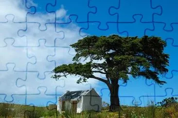 Cape Point, South Africa jigsaw puzzle