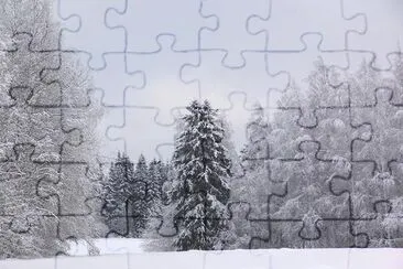 Riihimaki, Finland jigsaw puzzle