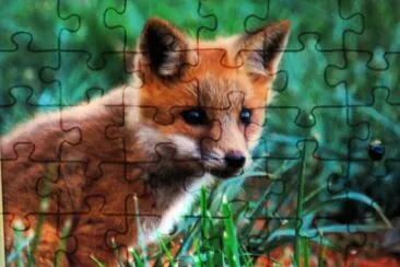 Fox jigsaw puzzle