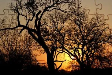 Coucher de soleil en Afrique