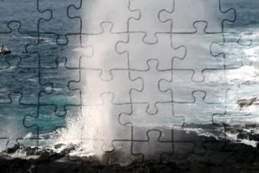 The Galapagos jigsaw puzzle