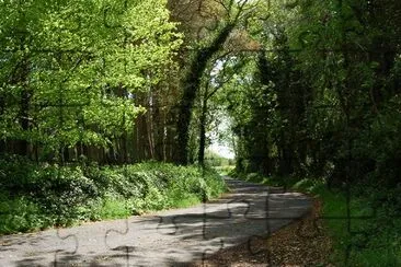 Silvermine Mountains, Tipperary, Irlanda