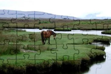 Connemara, Ireland jigsaw puzzle