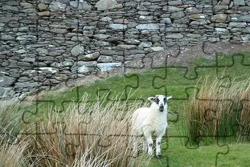 Ireland jigsaw puzzle