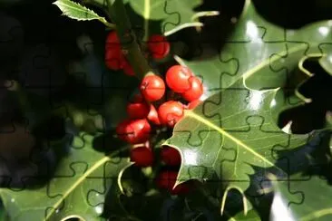 Holly jigsaw puzzle