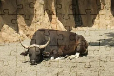 Bull jigsaw puzzle