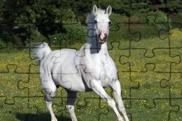 Horse jigsaw puzzle