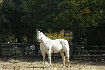 White Horse jigsaw puzzle