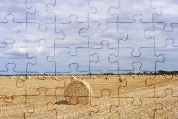 Billets of hay with full sky jigsaw puzzle