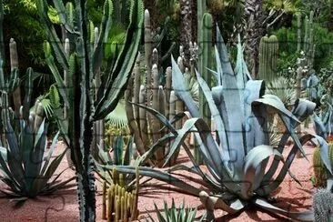 Giardino dei cactus, Marrakech, Marocco