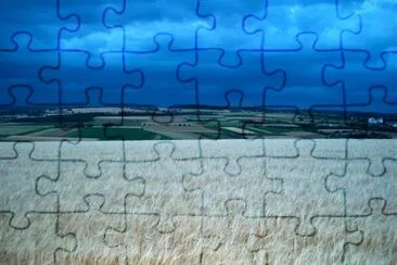 Cornfield, Hausen, Germany jigsaw puzzle