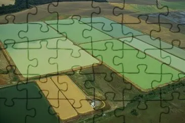 an array of catfish ponds in Louisiana jigsaw puzzle