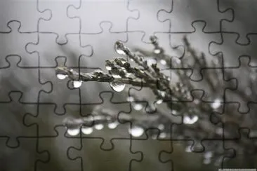 Dew jigsaw puzzle