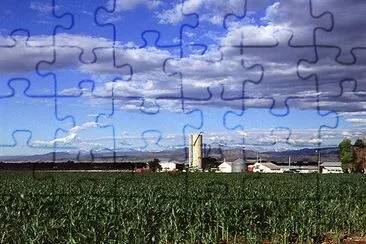 Corn production in Colorado jigsaw puzzle