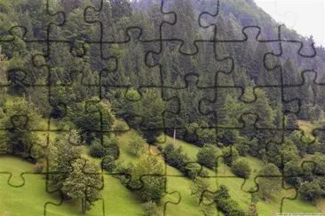 Green forest jigsaw puzzle