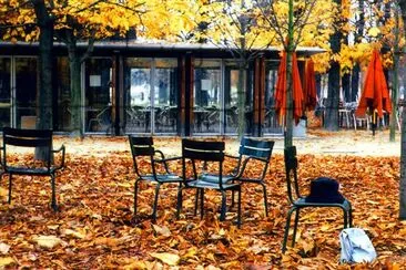 L'hiver dans le parc, Paris, France