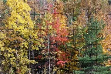 Colores de otoño