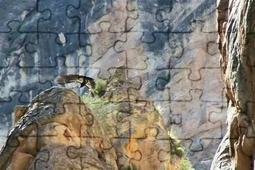 Condor in Grand Canyon jigsaw puzzle