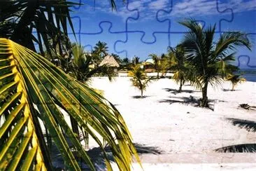 Palme e una spiaggia, Belize