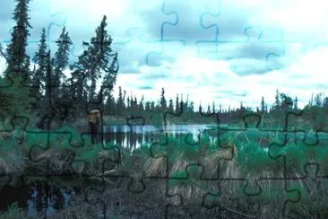 Beaver Dam and Pond jigsaw puzzle