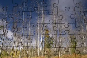 Cottonwood stand jigsaw puzzle