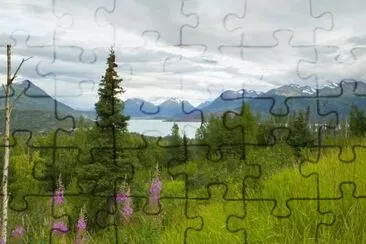 Hillside with Fireweed jigsaw puzzle