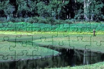 Innoko Refuge Wetlands