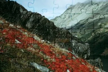 Kenai Landscape jigsaw puzzle