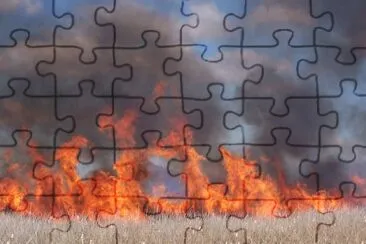 Marsh burn at Tule Lake National Wildlife Refuge 2005. jigsaw puzzle