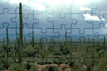 Saguaro Cactus jigsaw puzzle