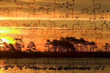 Sonnenuntergang im Chincoteague National Wildlife Refuge