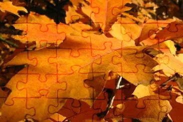 Leaves jigsaw puzzle