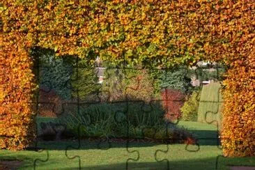 Hedge jigsaw puzzle